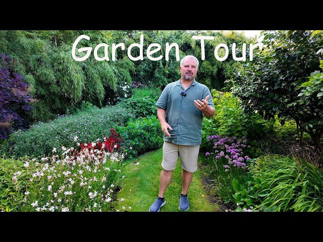 Image: Ontdek de Grijze Strip in Chicken Road Casino in Nederland